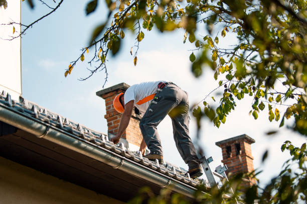 Best Flat Roof Repair Services  in Flint, MI