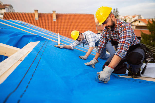 Best Sealant for Roof  in Flint, MI