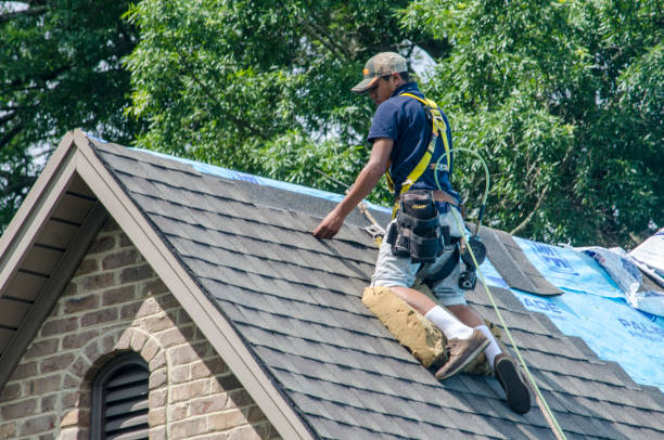 Best Residential Roofing Contractor  in Flint, MI